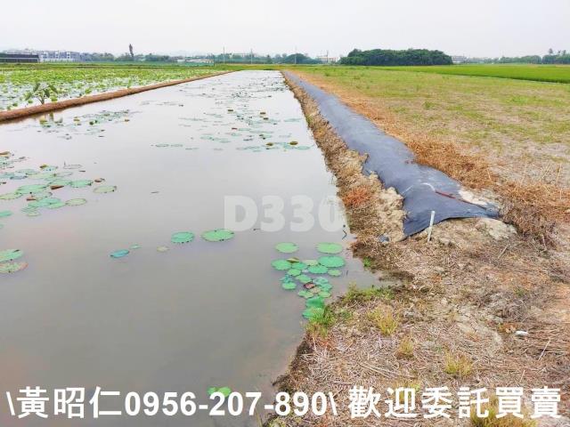 台南農地-14