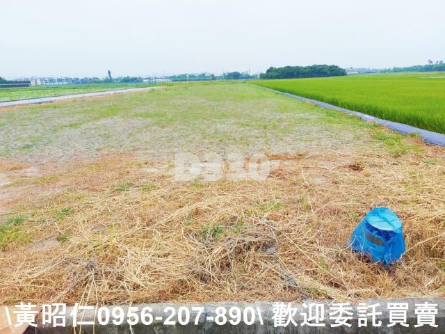 台南農地-1