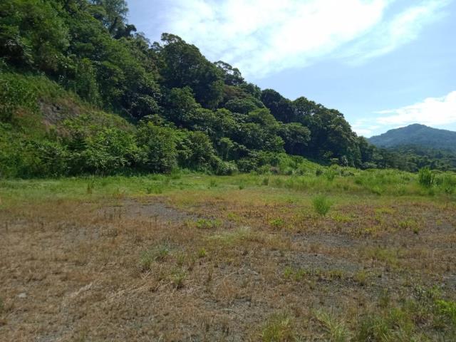龜山工業地-3
