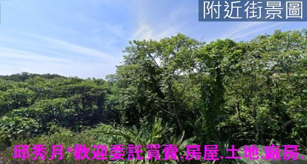 淡水農地-5