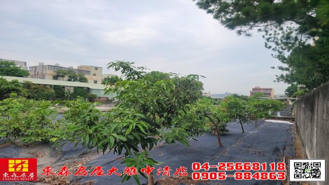 台中大雅農地-4