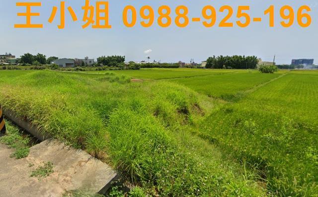 桃園農地-4