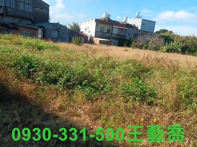 桃園農地-4