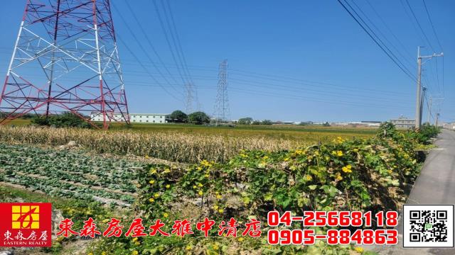 台中農地-4