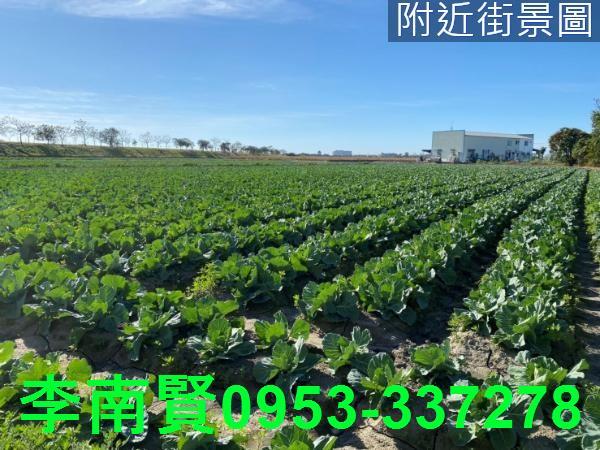 台南仁德農地-8
