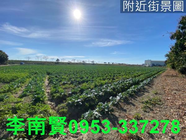 台南仁德農地-9