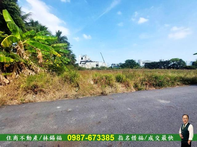 台南永康農地-8