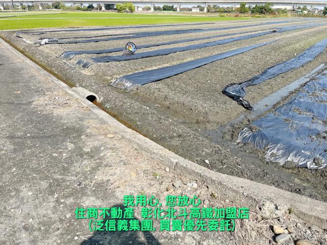 彰化溪州農地-1