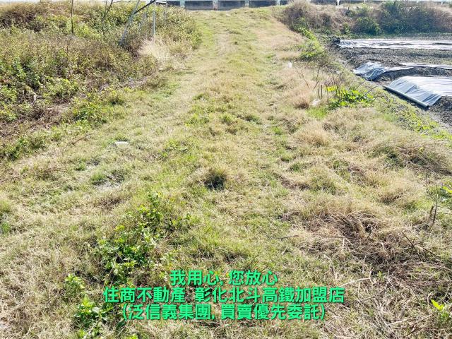 彰化溪州農地-2