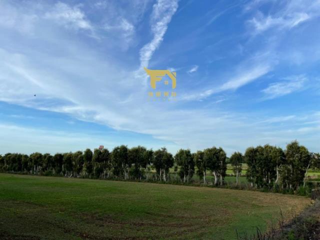 楊梅農地-6