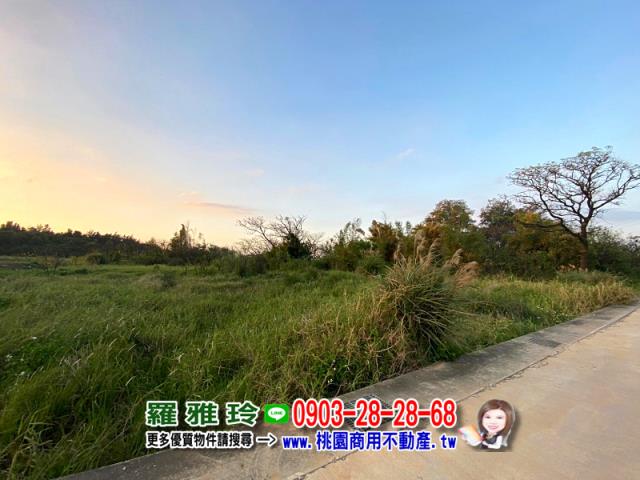 觀音農地-2