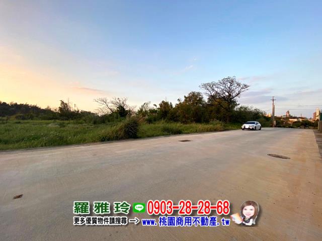 觀音農地-3