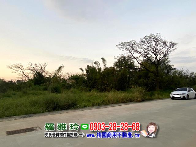 觀音農地-6