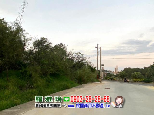 觀音農地-7