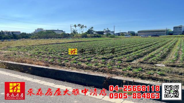 大雅農地-2