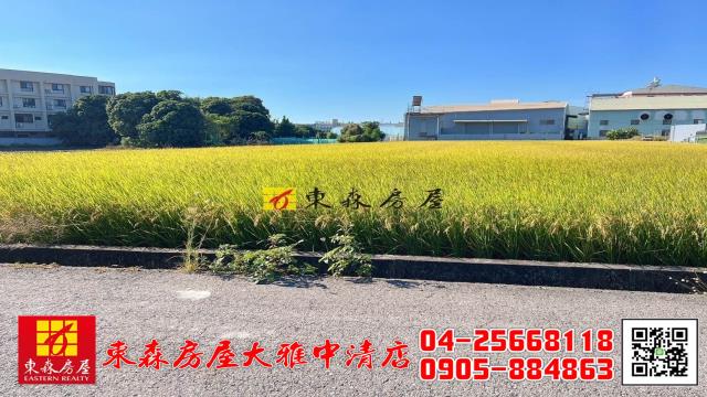 大雅農地-4