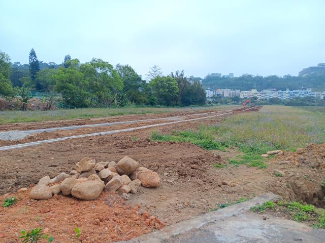 龍潭農地-6