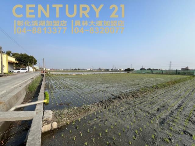 竹塘農地-3