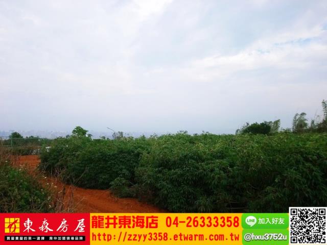 台中南屯農地-4