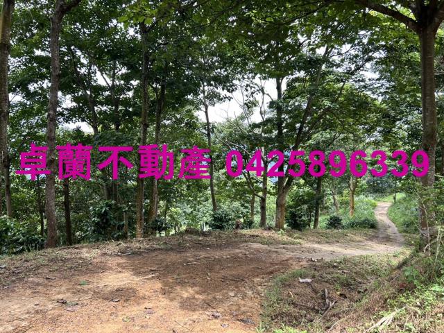 苗栗大湖農地-10
