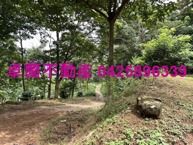 苗栗大湖農地-11