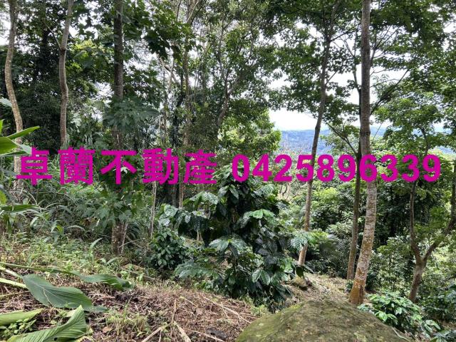 苗栗大湖農地-4