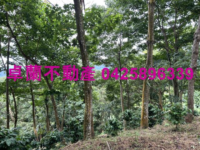苗栗大湖農地-6