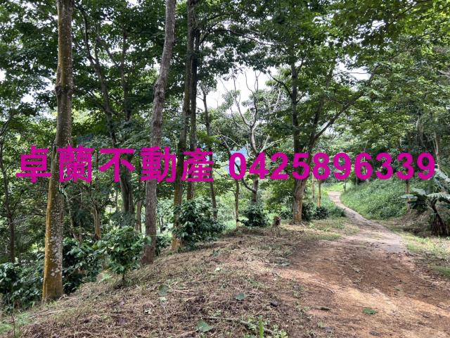 苗栗大湖農地-7