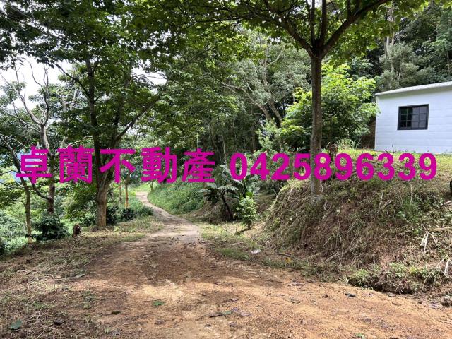 苗栗大湖農地-8