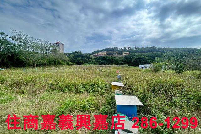 新竹農地-3