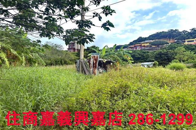 新竹農地-4