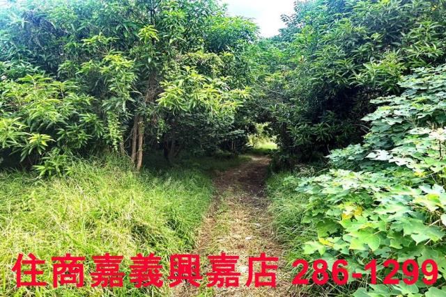 新竹農地-5