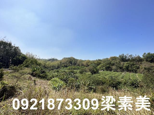 台南玉井農地-3
