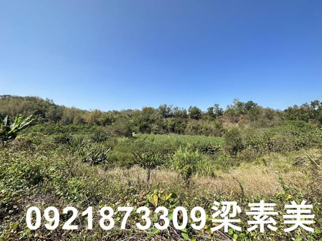 台南玉井農地-8