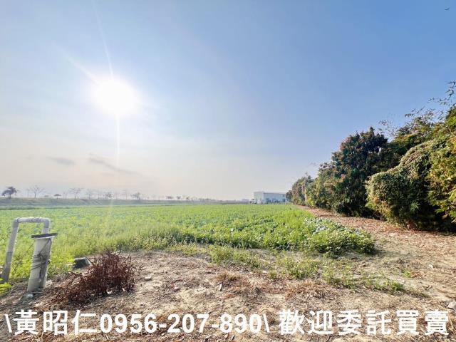台南仁德農地-1