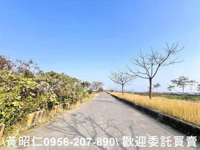 台南仁德農地-6