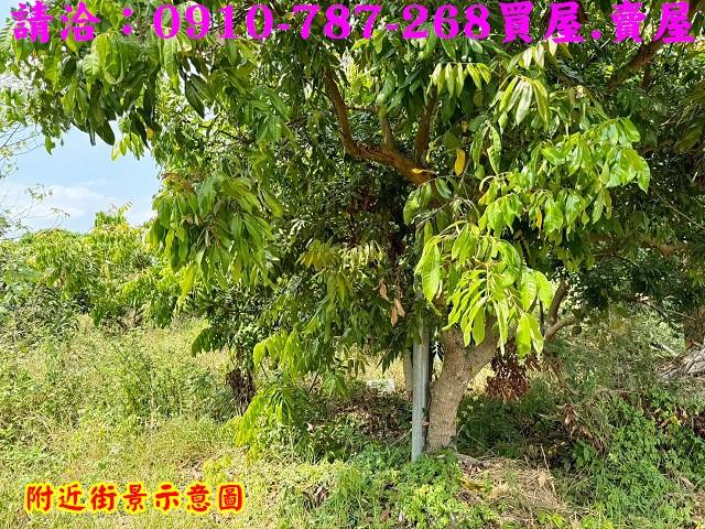 山上農地-8