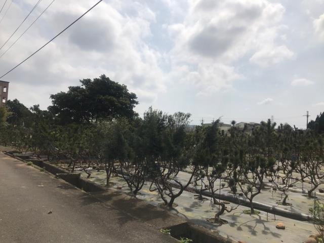 桃園農地-2