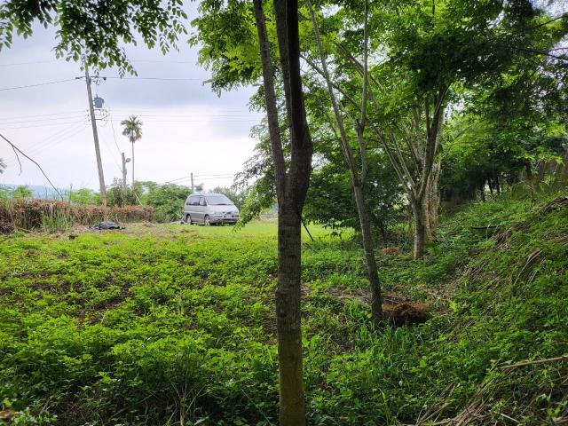 台中東勢農地-6