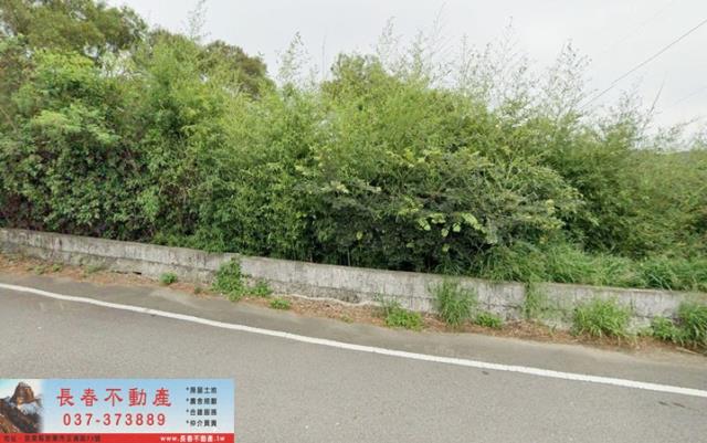 苗栗通霄農地-1