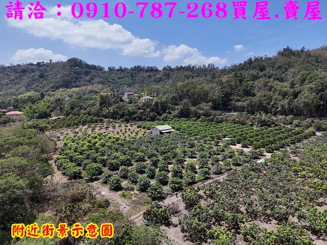 高雄六龜農地-14