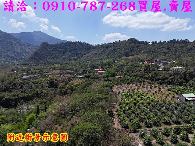高雄六龜農地-15