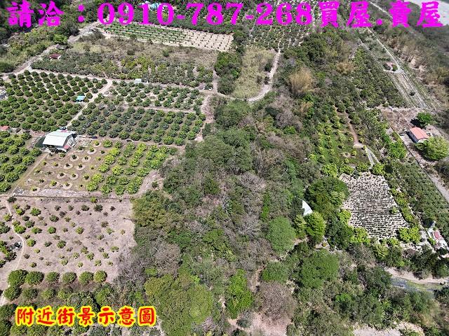 高雄六龜農地-3