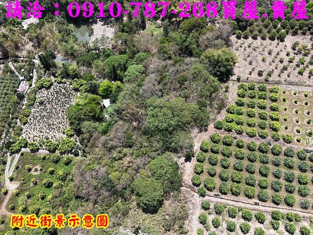 高雄六龜農地-6