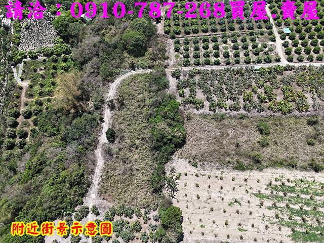 高雄六龜農地-7