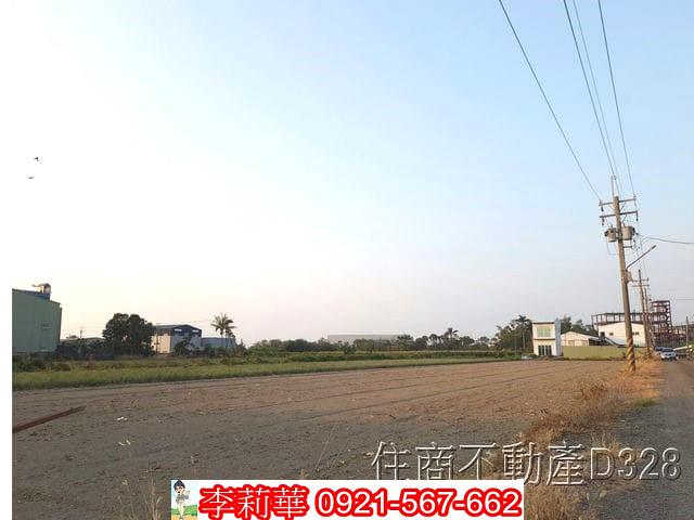 安南農地-8