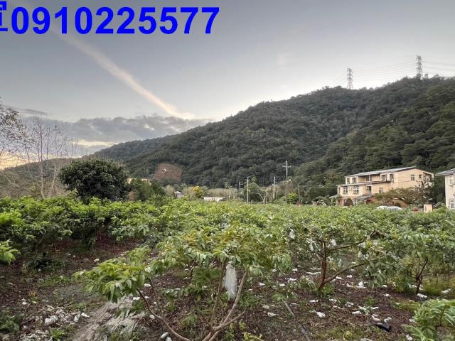 員山農地-2