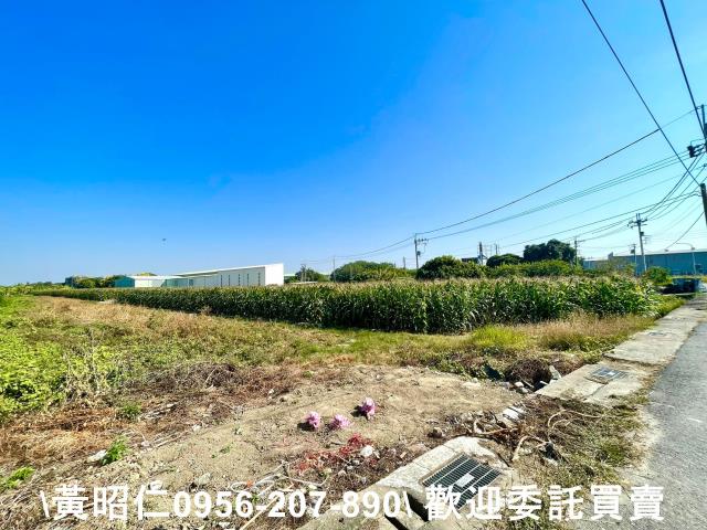 台南安南農地-2
