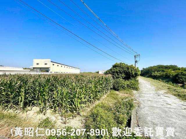 台南安南農地-4