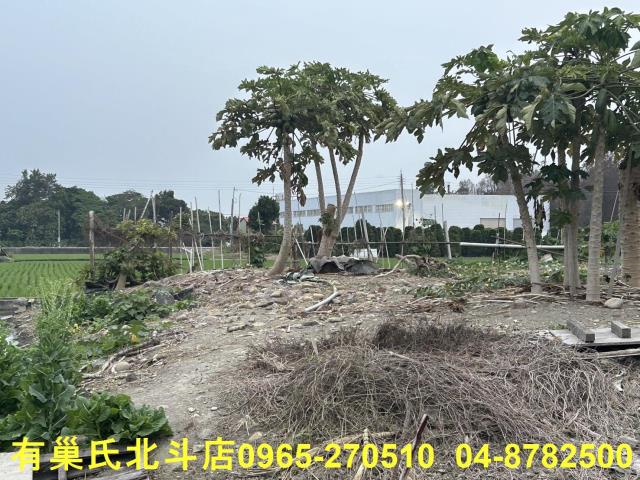 彰化埔心農地-6